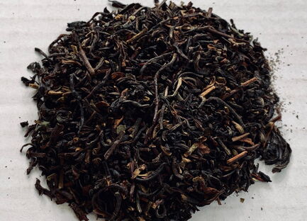 Bio Tee Earl Grey Darjeeling Bio 923