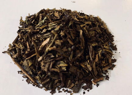 Hojicha Organic 703
